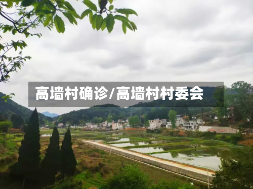 高墙村确诊/高墙村村委会-第3张图片