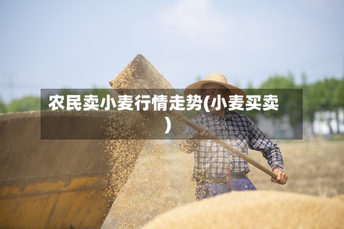 农民卖小麦行情走势(小麦买卖)