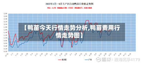 【鸭苗今天行情走势分析,鸭苗费用行情走势图】