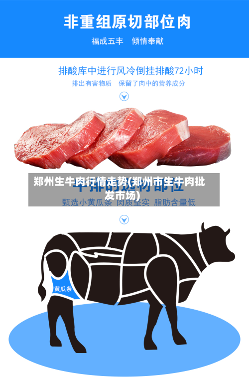 郑州生牛肉行情走势(郑州市生牛肉批发市场)