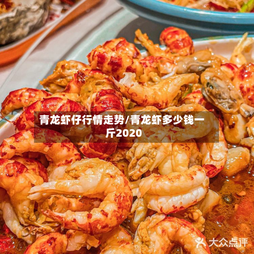 青龙虾仔行情走势/青龙虾多少钱一斤2020-第2张图片