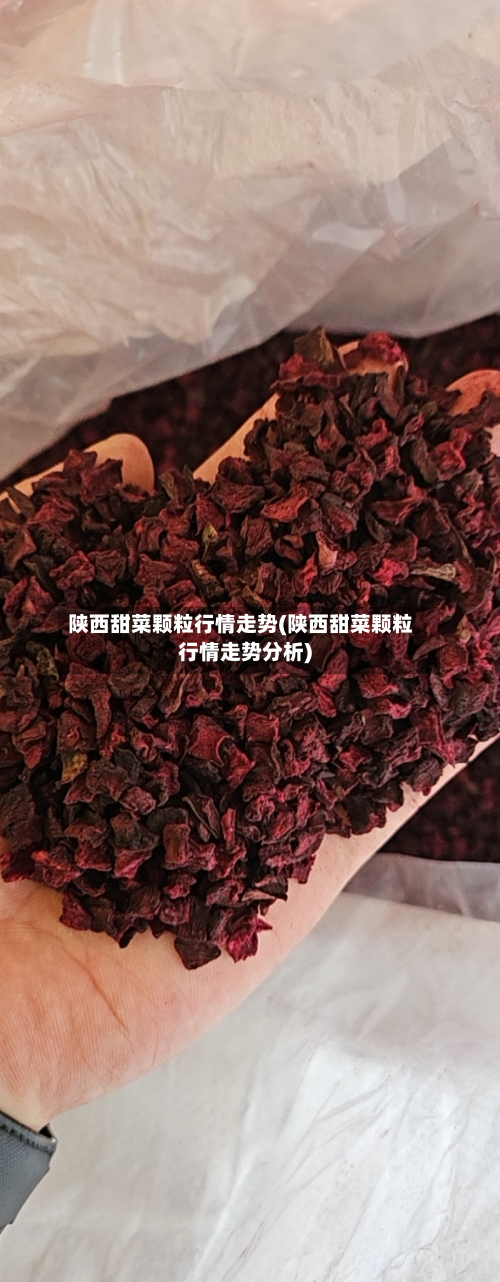 陕西甜菜颗粒行情走势(陕西甜菜颗粒行情走势分析)
