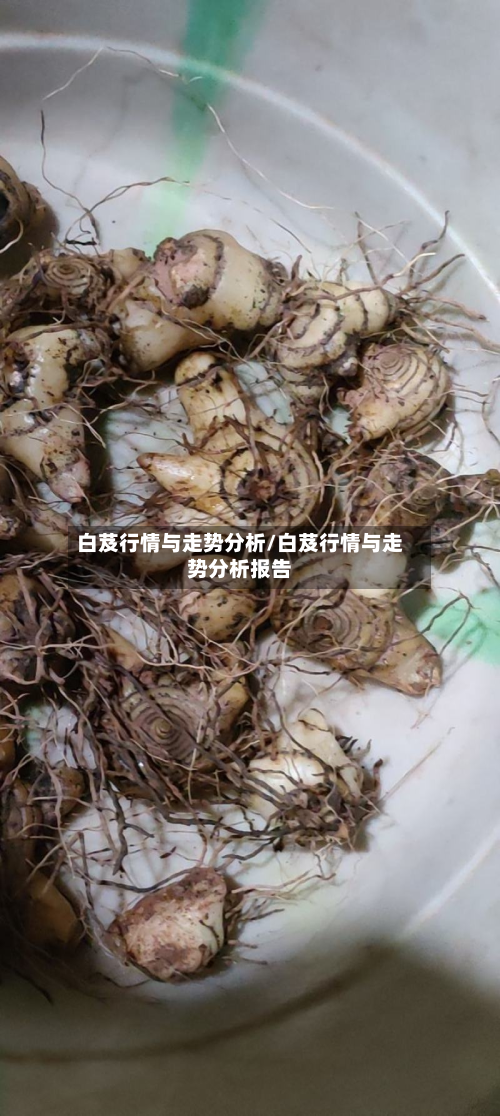白芨行情与走势分析/白芨行情与走势分析报告