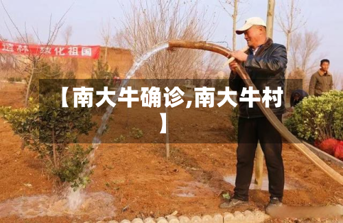 【南大牛确诊,南大牛村】
