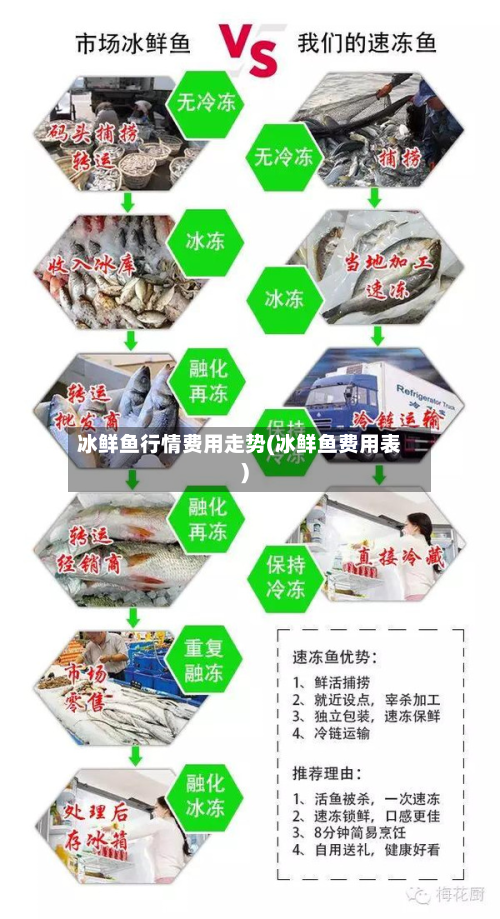 冰鲜鱼行情费用走势(冰鲜鱼费用表)-第2张图片