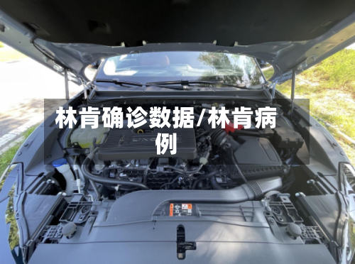 林肯确诊数据/林肯病例