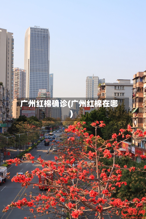 广州红棉确诊(广州红棉在哪)