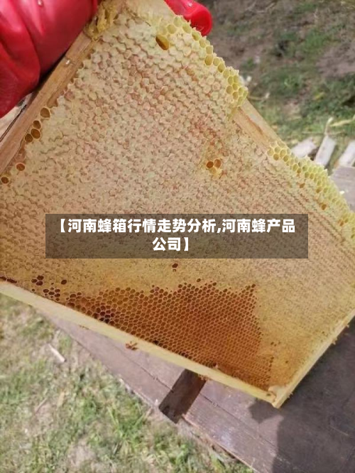【河南蜂箱行情走势分析,河南蜂产品公司】