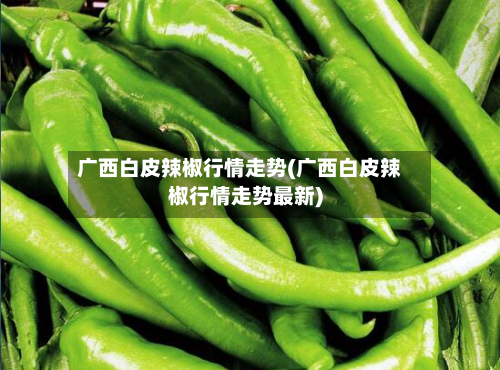 广西白皮辣椒行情走势(广西白皮辣椒行情走势最新)