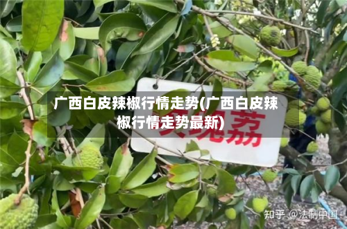 广西白皮辣椒行情走势(广西白皮辣椒行情走势最新)-第2张图片