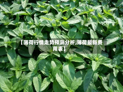 【薄荷行情走势预测分析,薄荷最新费用表】-第2张图片