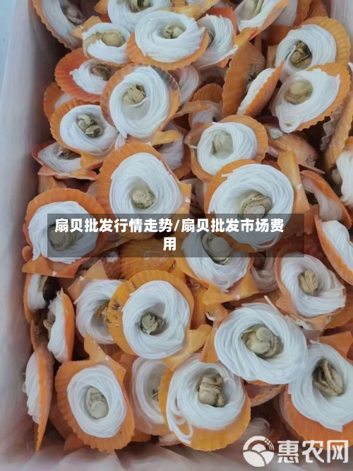 扇贝批发行情走势/扇贝批发市场费用-第2张图片