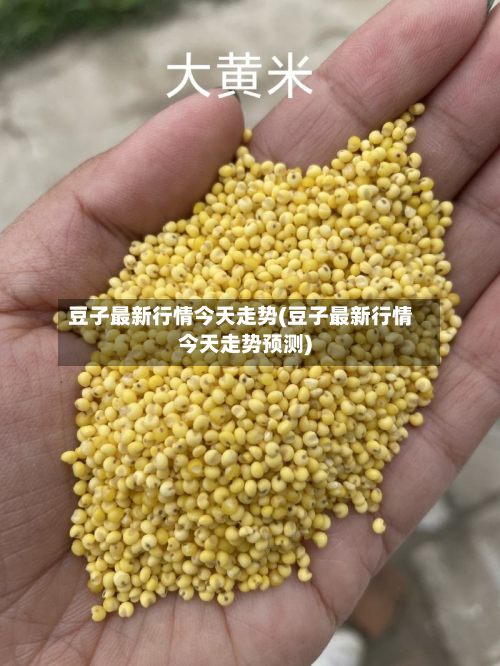 豆子最新行情今天走势(豆子最新行情今天走势预测)