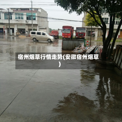 宿州烟草行情走势(安徽宿州烟草)